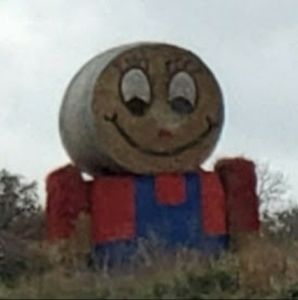 Meet your Posher, Denise